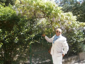 Orto dei Getsemani dove i 4 ulivi penetrano la terra