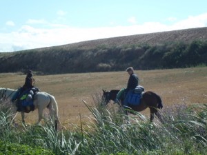 La meseta 